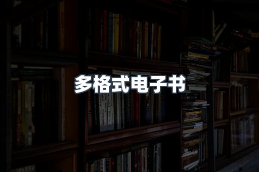 多格式电子书